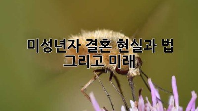 미성년자 결혼: 현실과 법, 그리고 미래