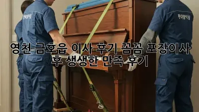 영천 금호읍 이사 후기: 꼼꼼 포장이사 후 생생한 만족 후기! ✨