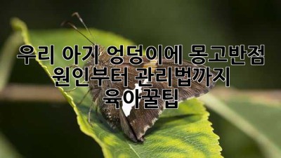 우리 아기 엉덩이에 몽고반점?!👶 원인부터 관리법까지! #육아꿀팁
